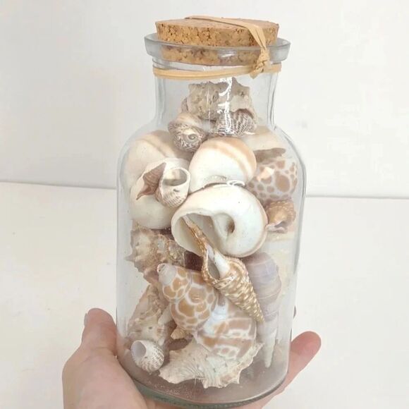 Florida Seashells in Glass Jar with cork Stopper NWOT Handmade Custom Gift - Picture 1 of 16